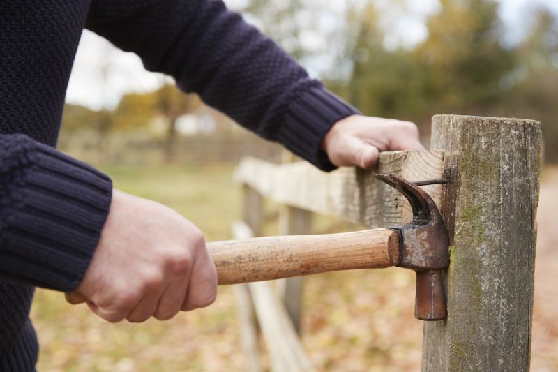 Fence Demolition detail